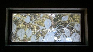 Etched Glass Window in My Shower